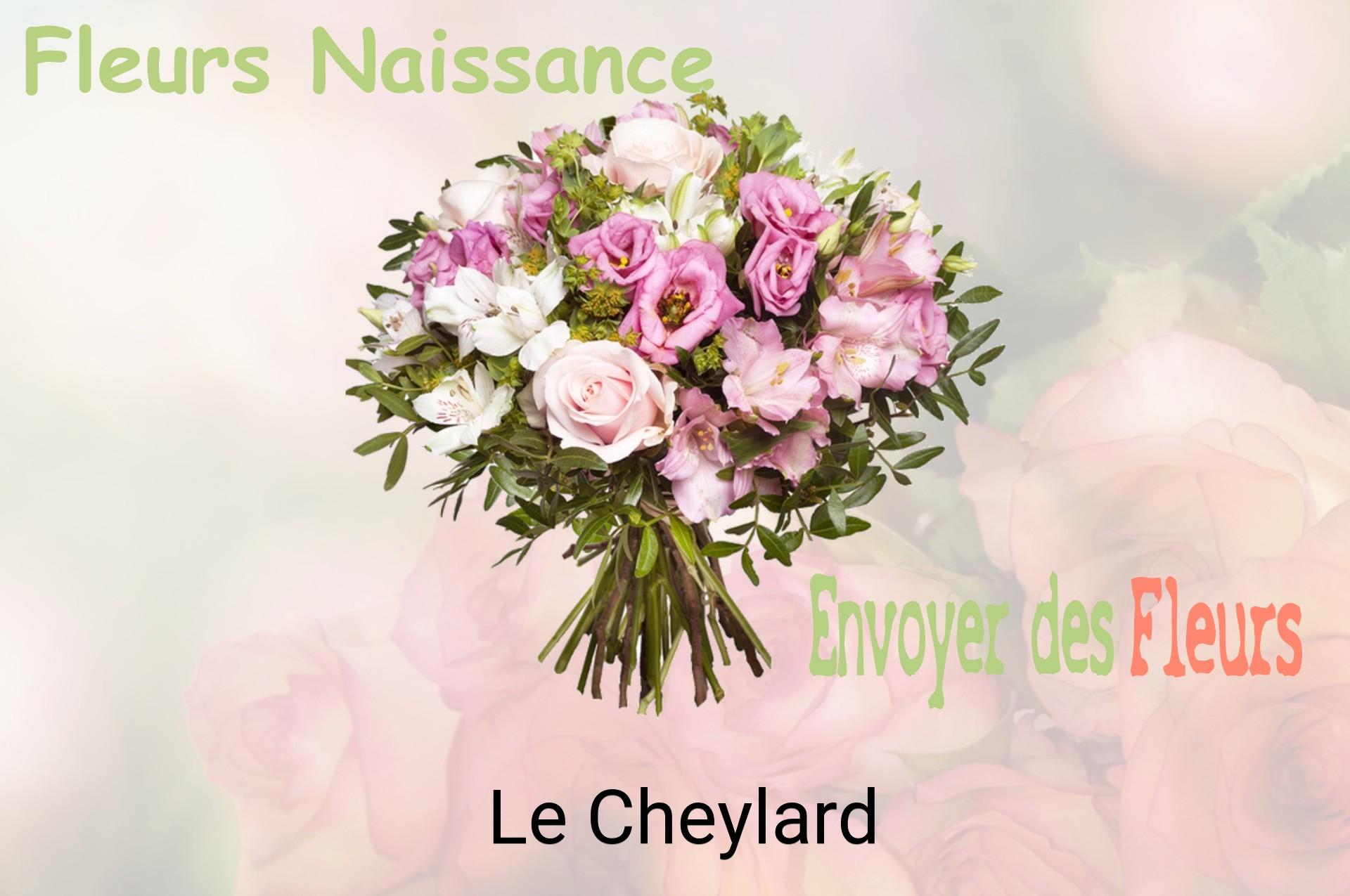 Bouquet de fleurs de naissance livré à Le Cheylard
